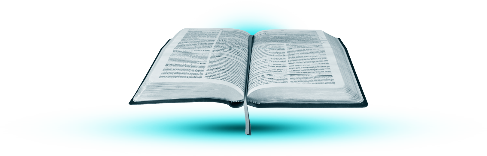 BIBLIA